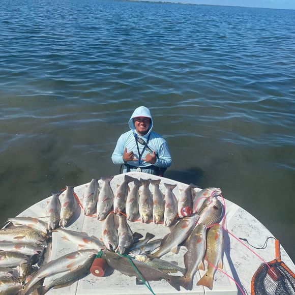 Meet your Posher, Aaron - Picture 1 of 1